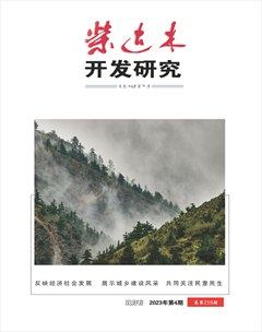 柴达木开发研究