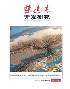 柴达木开发研究