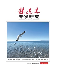 柴達(dá)木開(kāi)發(fā)研究