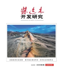 柴达木开发研究