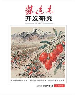 柴达木开发研究