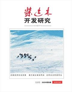 柴达木开发研究