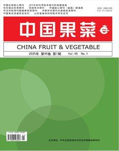 中国果菜