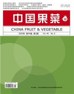 中國果菜