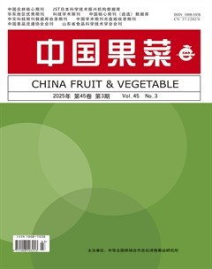 中国果菜