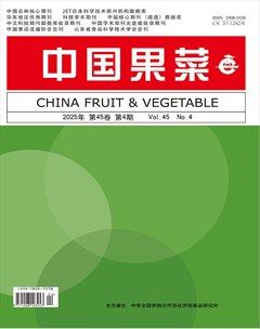 中国果菜