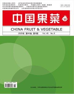 中国果菜