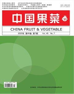 中國果菜