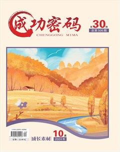 成功密码