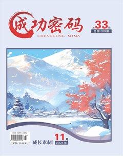 成功密码