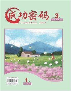 成功密码
