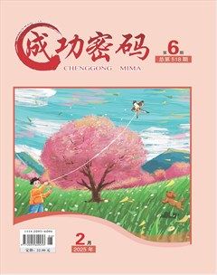 成功密码