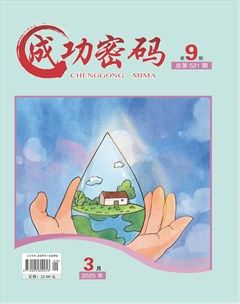 成功密码