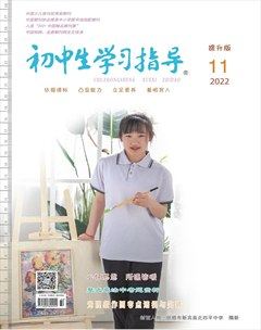 初中生学习指导·提升版