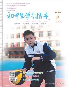 初中生学习指导·提升版