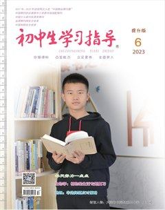 初中生学习指导·提升版