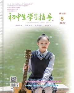 初中生学习指导·提升版