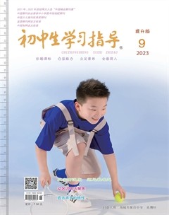 初中生学习指导·提升版