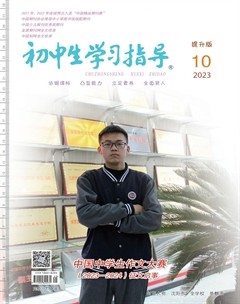 初中生学习指导·提升版
