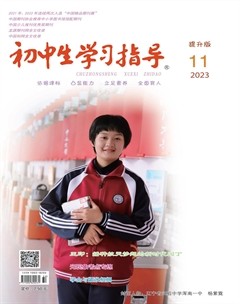 初中生学习指导·提升版