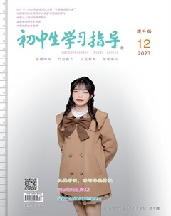 初中生学习指导·提升版