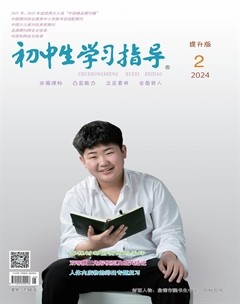 初中生学习指导·提升版