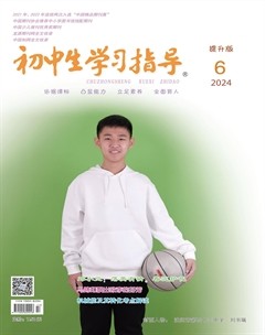 初中生学习指导·提升版