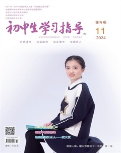 初中生学习指导·提升版