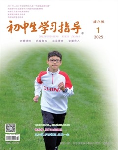 初中生学习指导·提升版