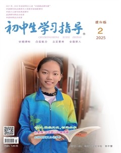初中生学习指导·提升版