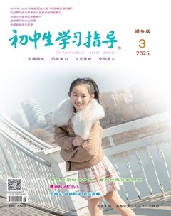 初中生学习指导·提升版