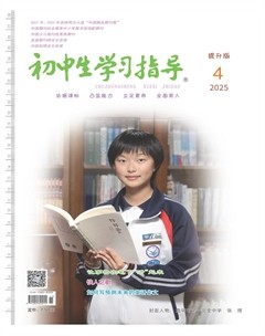 初中生学习指导·提升版