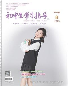 初中生学习指导·提升版