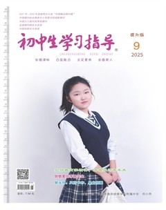 初中生学习指导·提升版