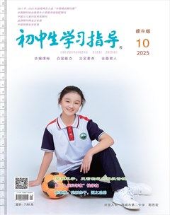 初中生学习指导·提升版