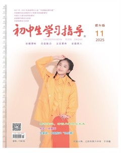 初中生学习指导·提升版