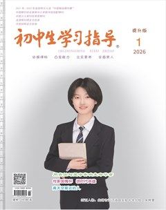 初中生学习指导·提升版