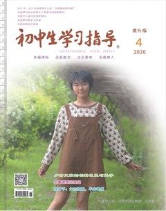 初中生学习指导·提升版