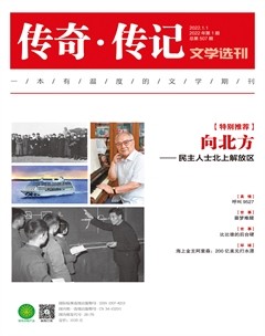 传奇·传记文学选刊