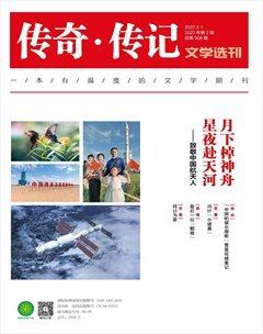 传奇·传记文学选刊