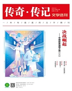 传奇·传记文学选刊