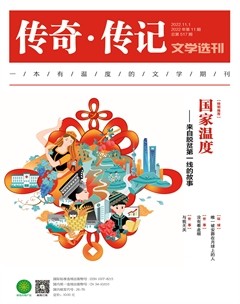 传奇·传记文学选刊