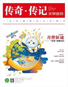 传奇·传记文学选刊