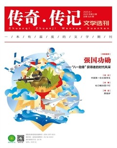 传奇·传记文学选刊