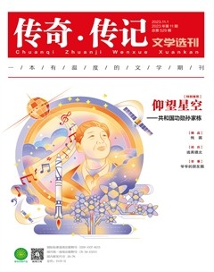 传奇·传记文学选刊