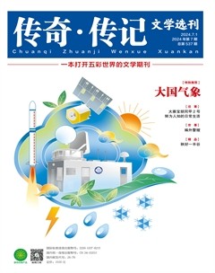 传奇·传记文学选刊