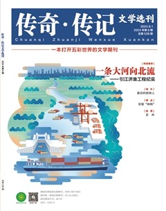 傳奇·傳記文學(xué)選刊