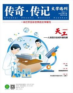 传奇·传记文学选刊