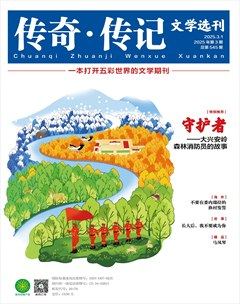 传奇·传记文学选刊