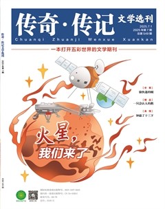 传奇·传记文学选刊
